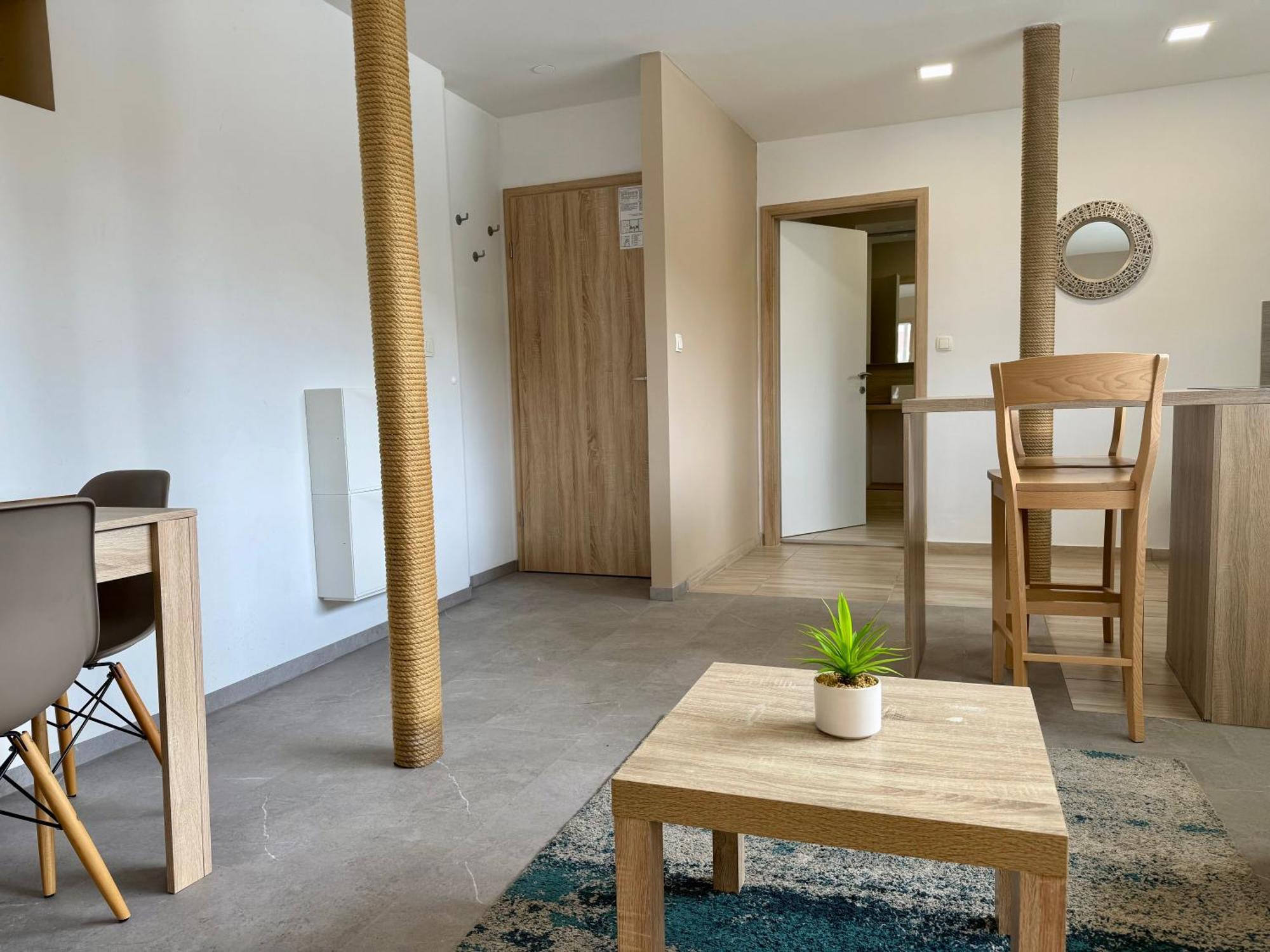 Apartments Park Siska 卢布尔雅那 外观 照片